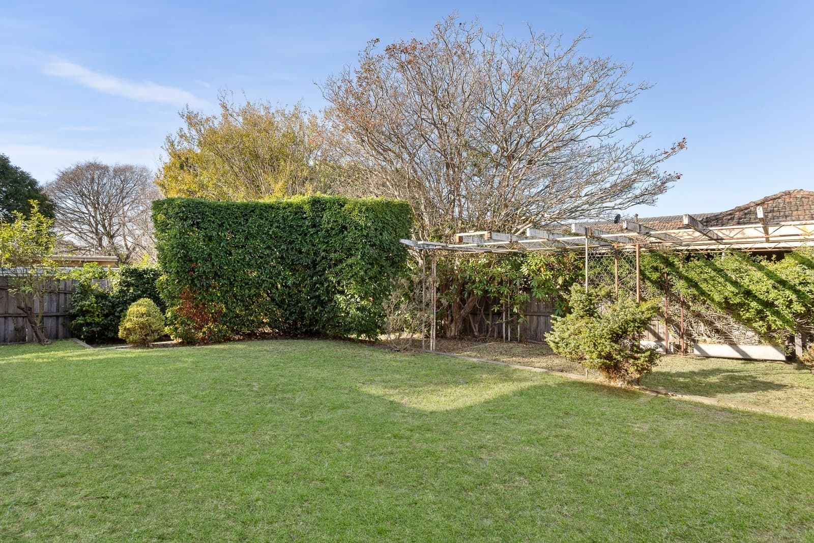 20 Cummins Road, Brighton East - Thumbnail 5