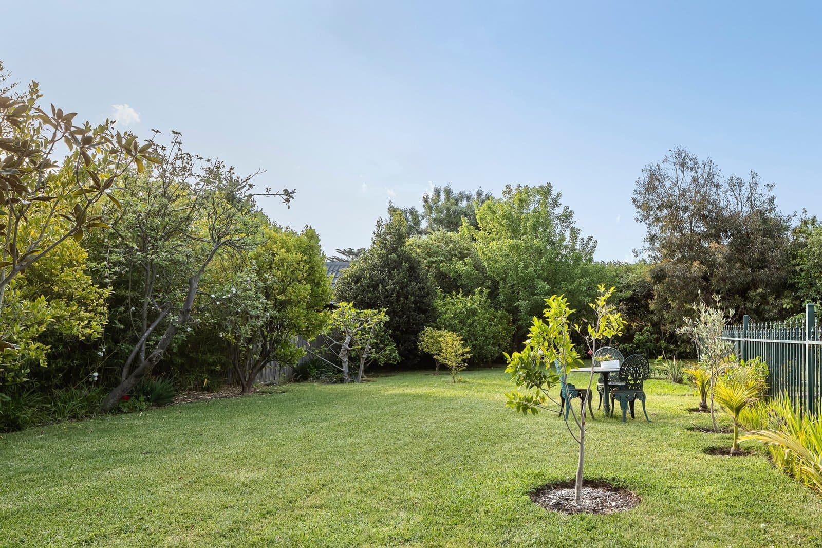 16 Peace Street, Glen Iris - Thumbnail 4