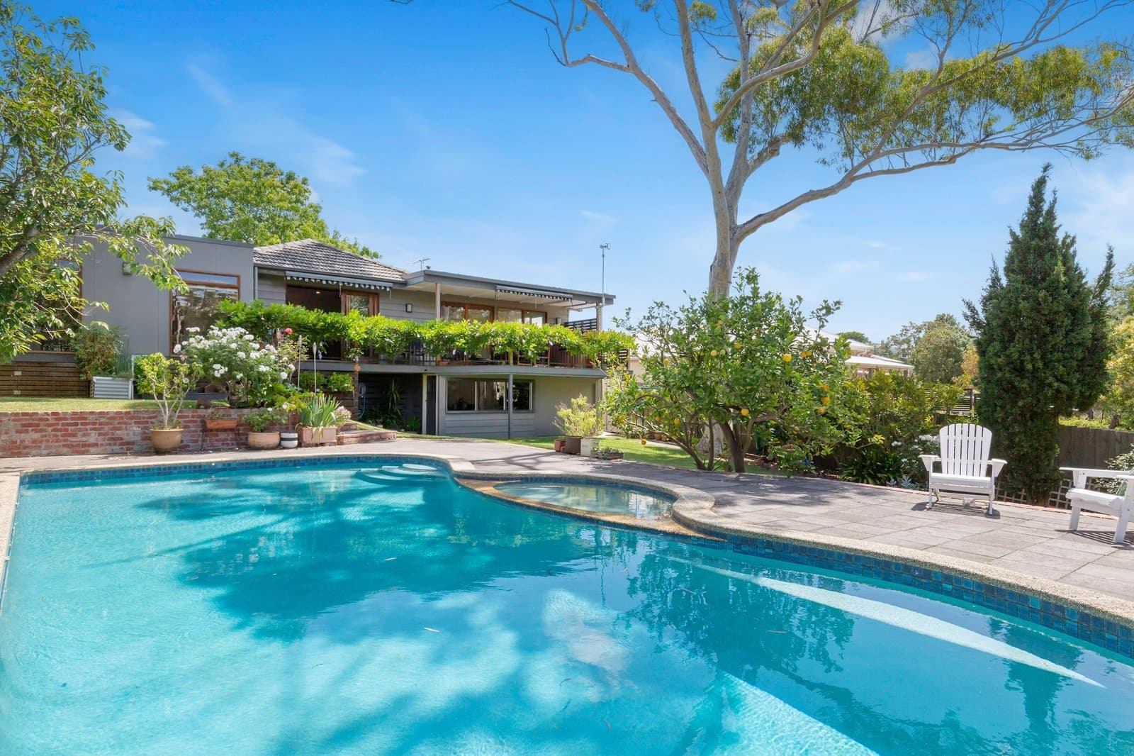 19 Shelbourne Court, Mornington - Thumbnail 2
