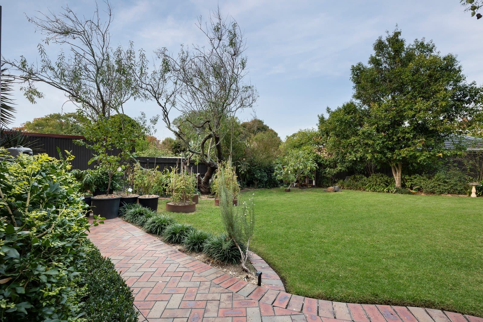 137 Summerhill Road, Glen Iris - Thumbnail 8