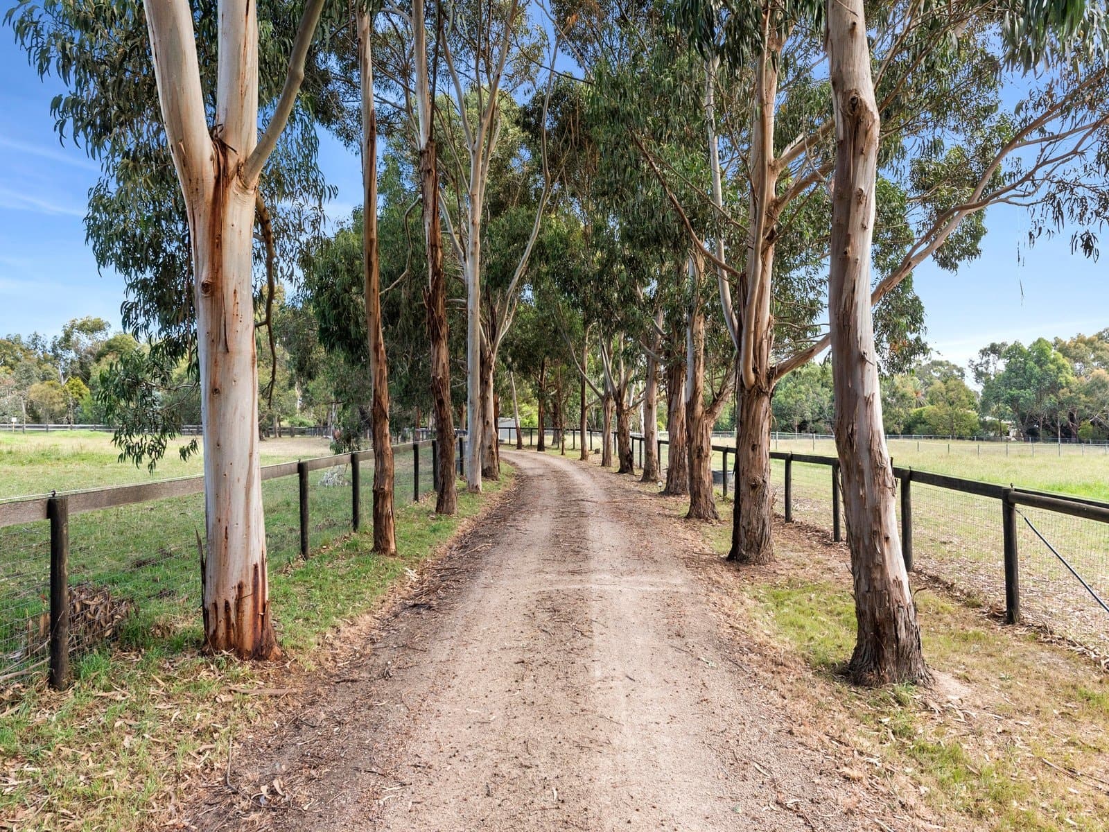 50 Hunts Road, Tuerong - Thumbnail 3