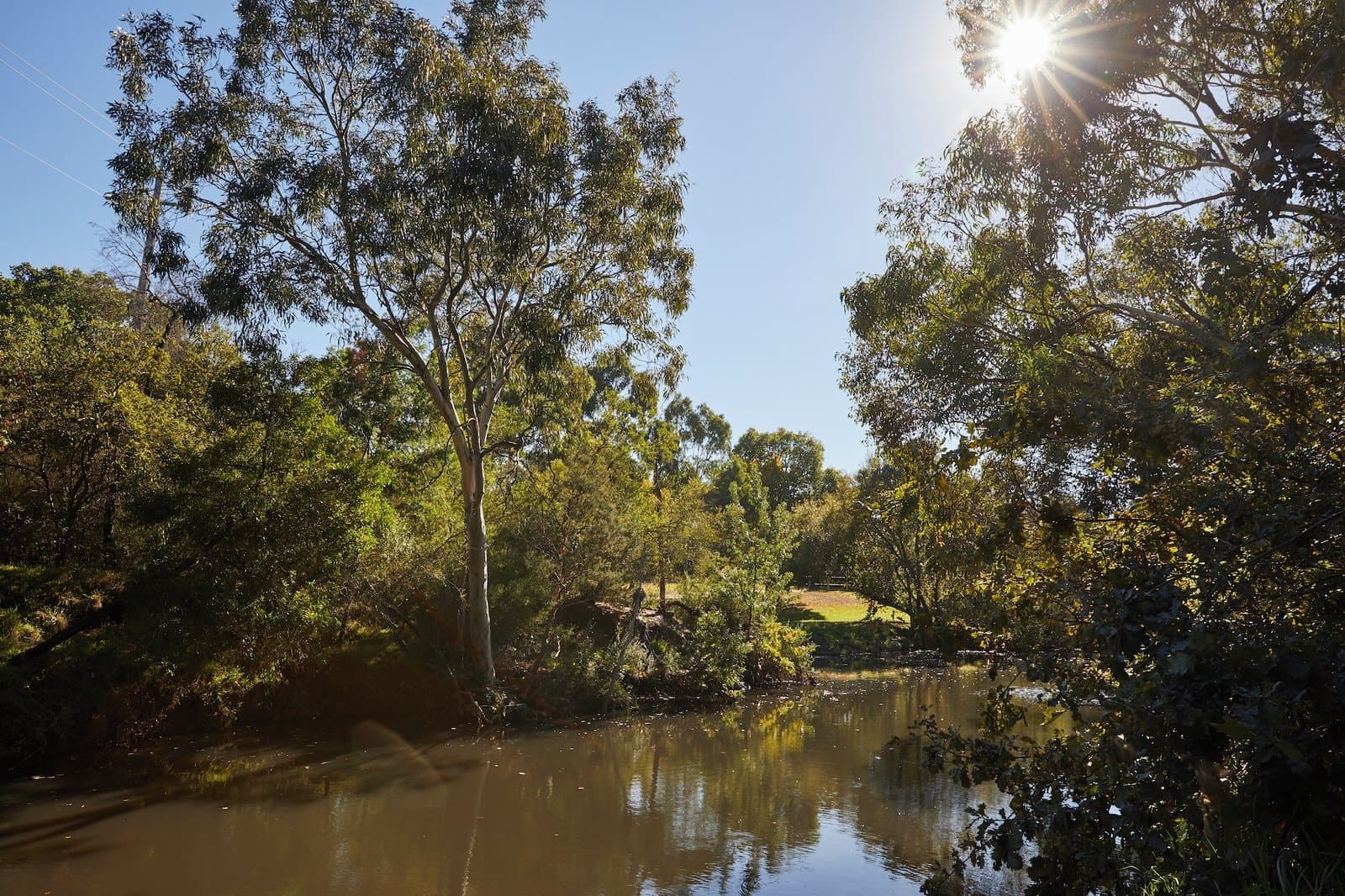 41 Kerferd Road, Glen Iris - Image 1