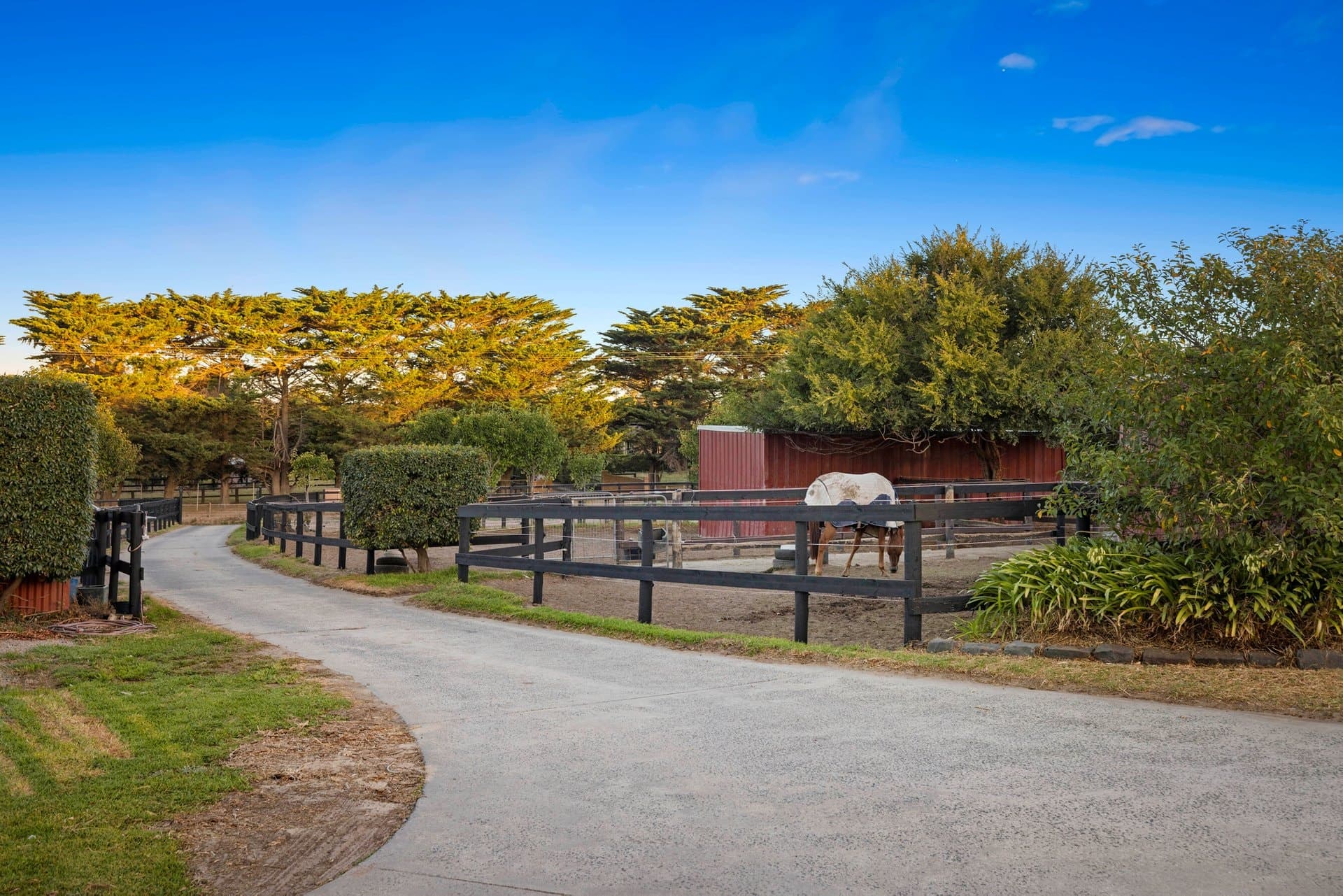 195 Roberts Road, Mornington - Thumbnail 3