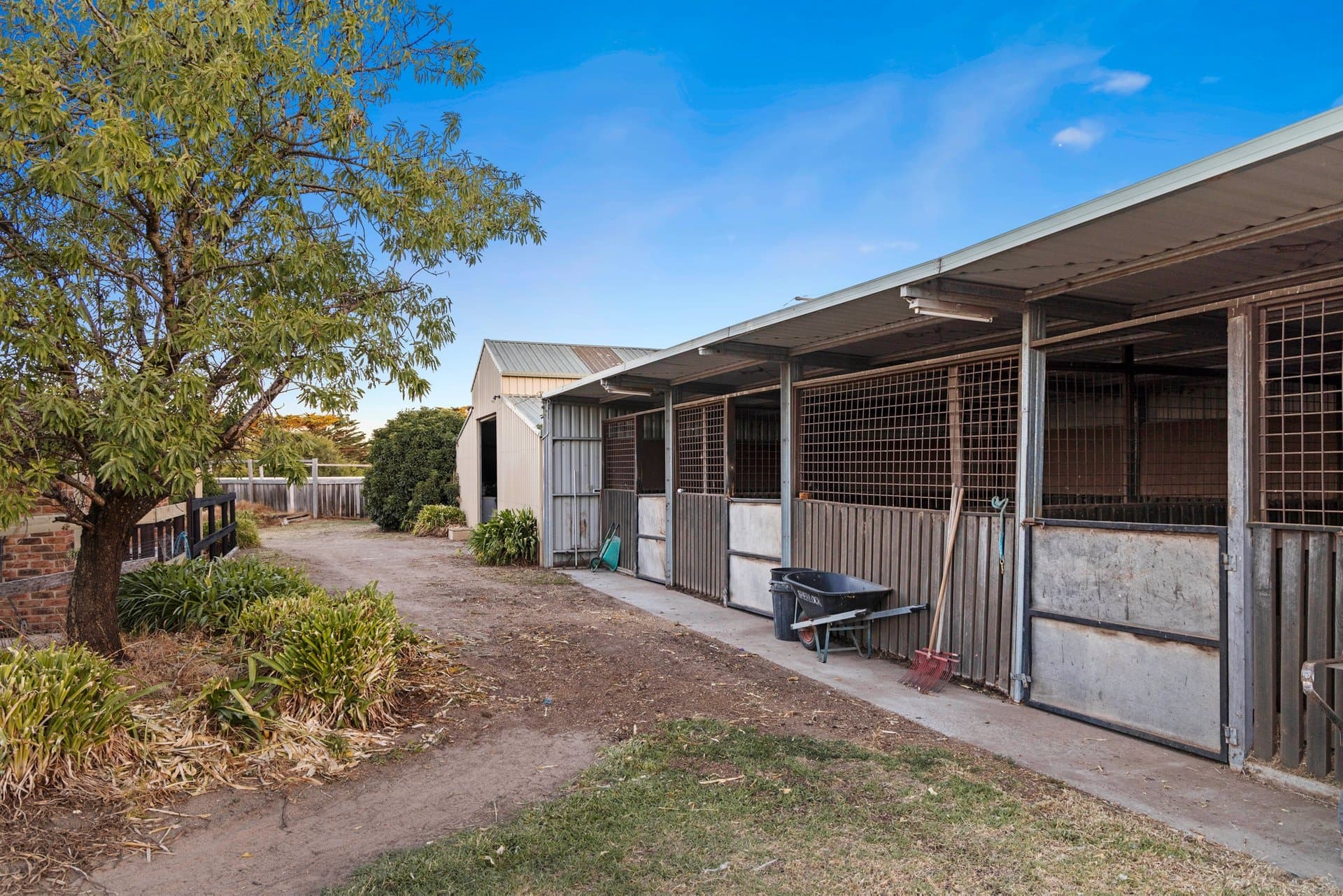 195 Roberts Road, Mornington - Thumbnail 6