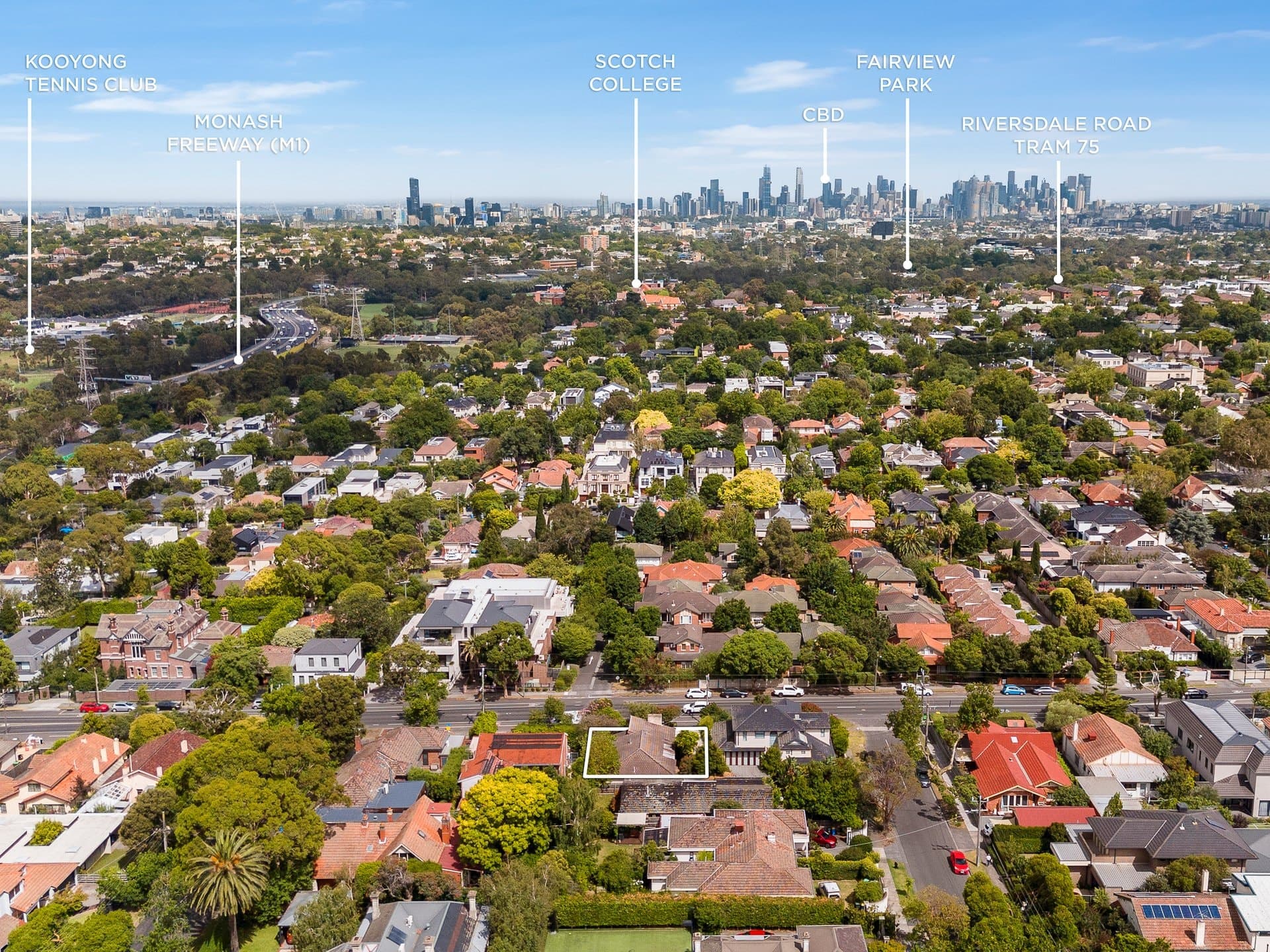 369 Auburn Road, Hawthorn East - Thumbnail 6