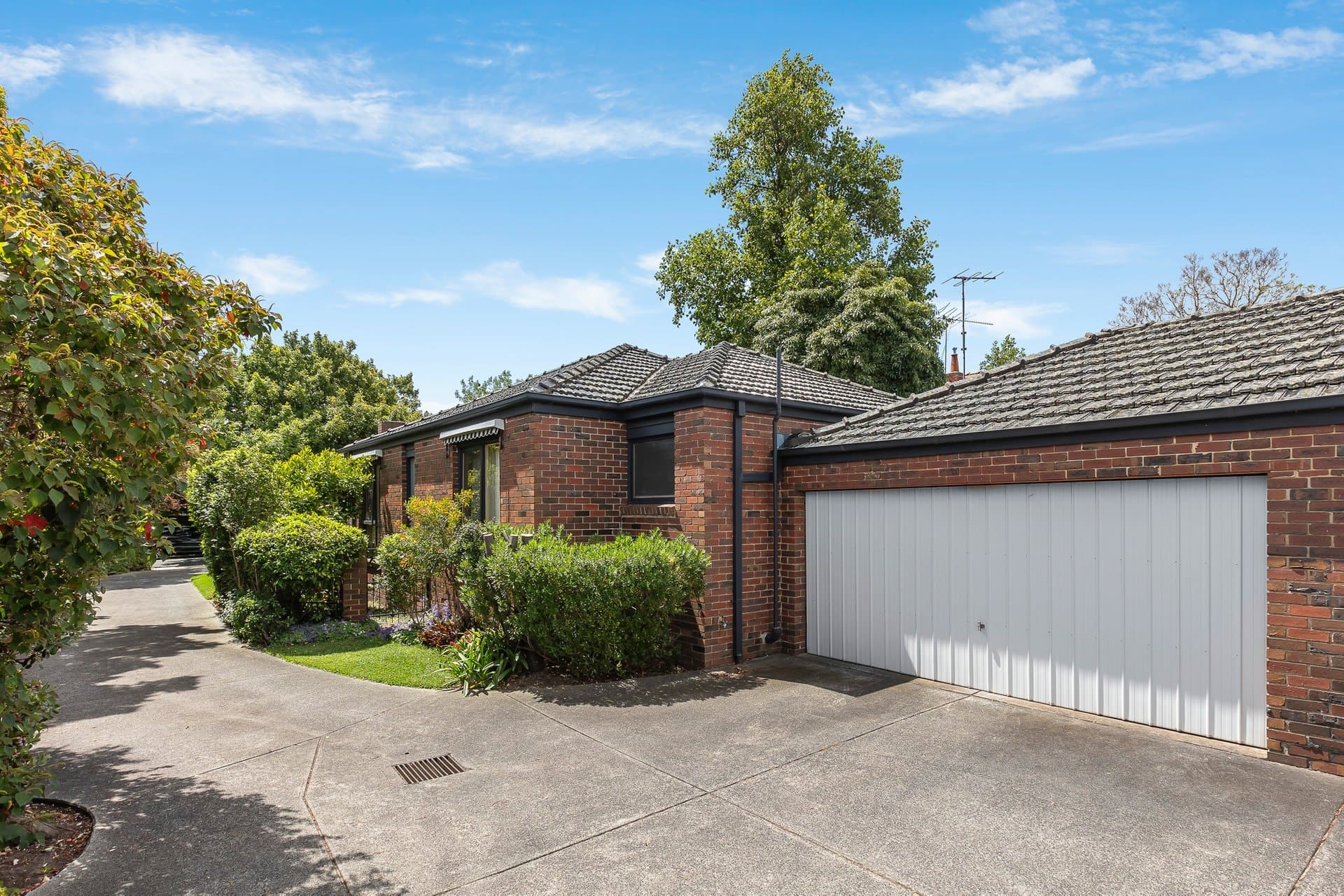 1/3 Peace Street, Glen Iris - Thumbnail 2