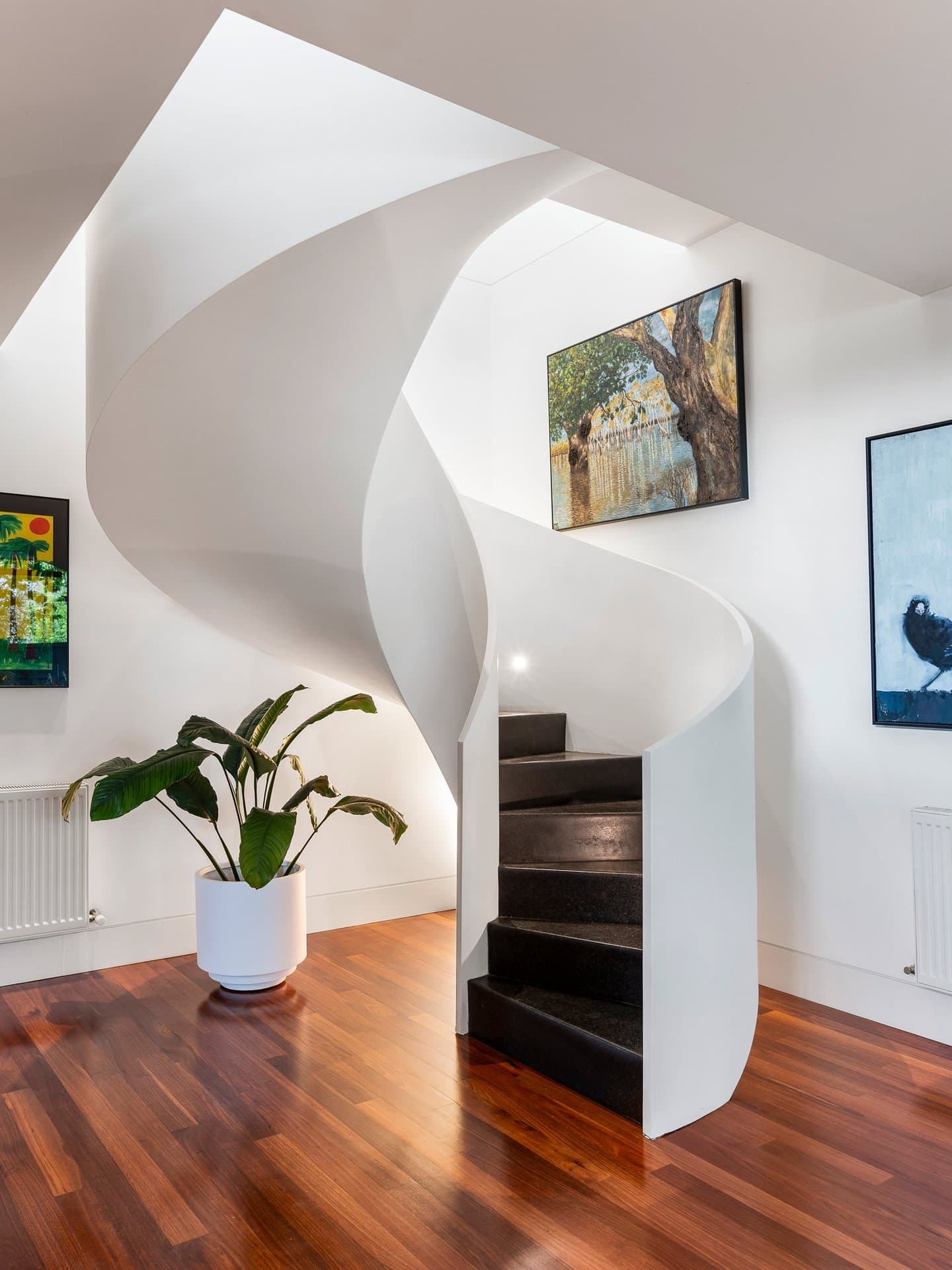 16 Ruyton Street, Camberwell - Thumbnail 6