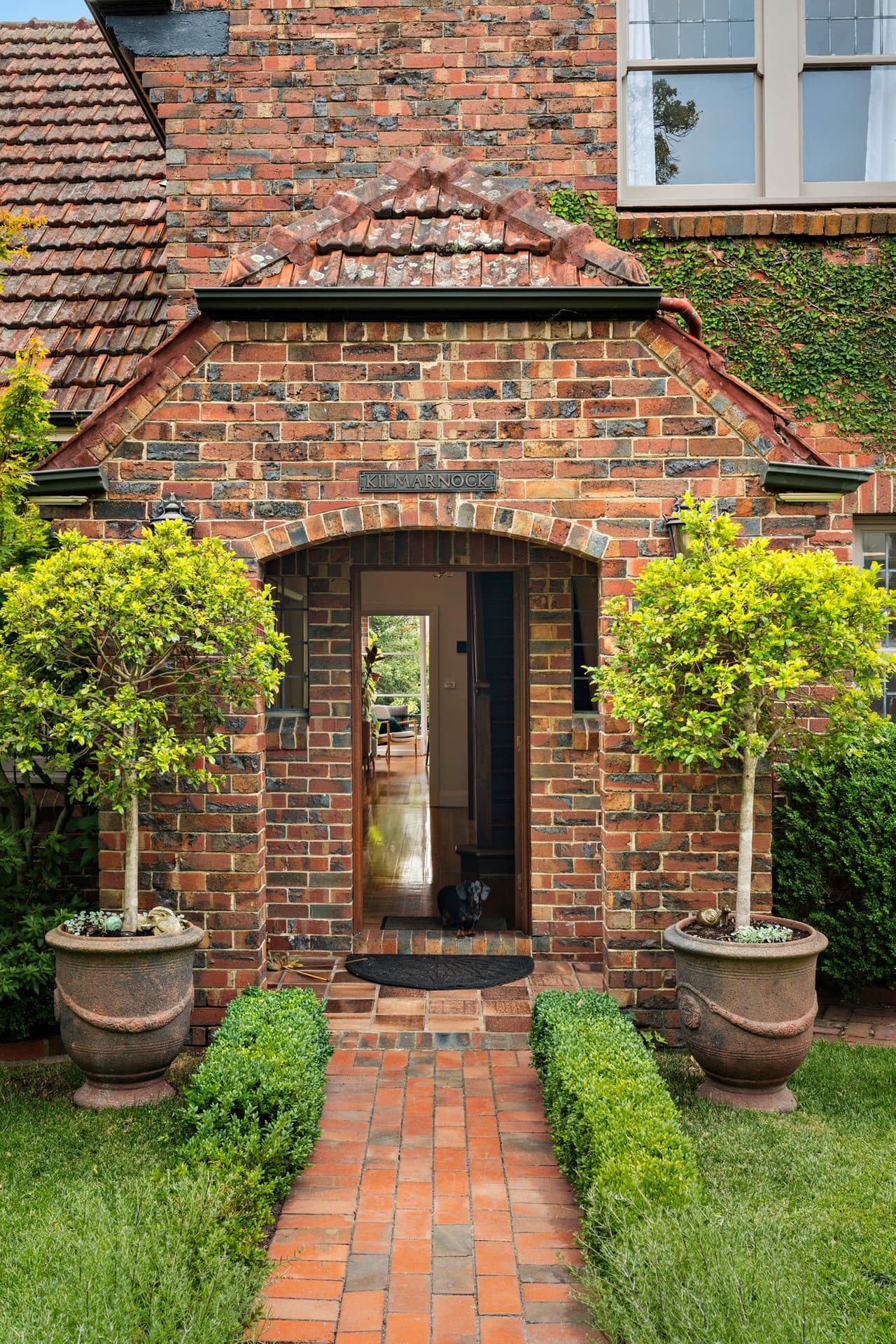 43 Dendy Street, Brighton - Thumbnail 3