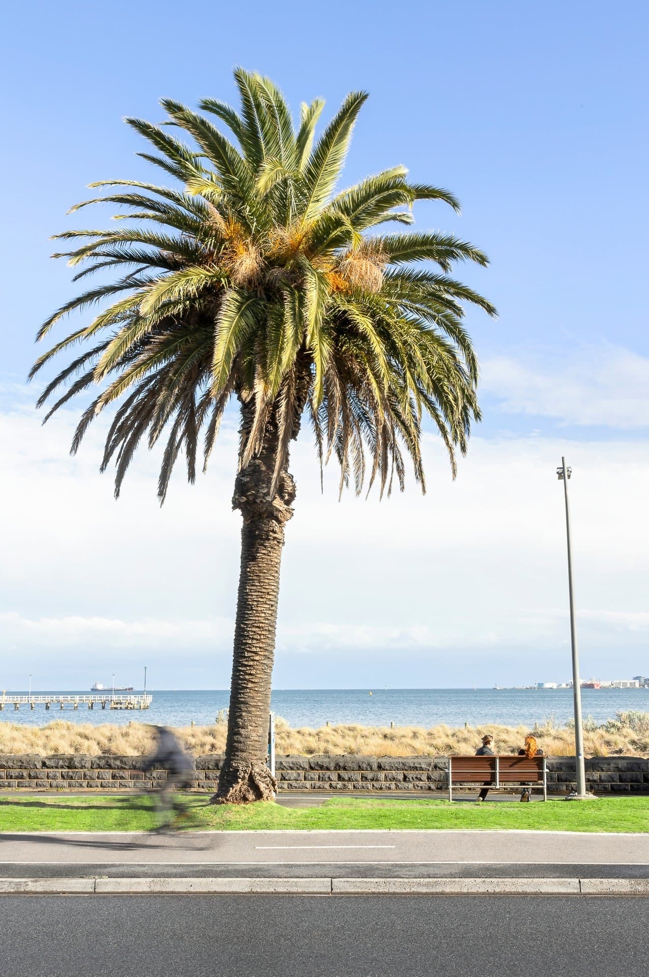 b107 52 Dow Street, Port Melbourne - Thumbnail 8