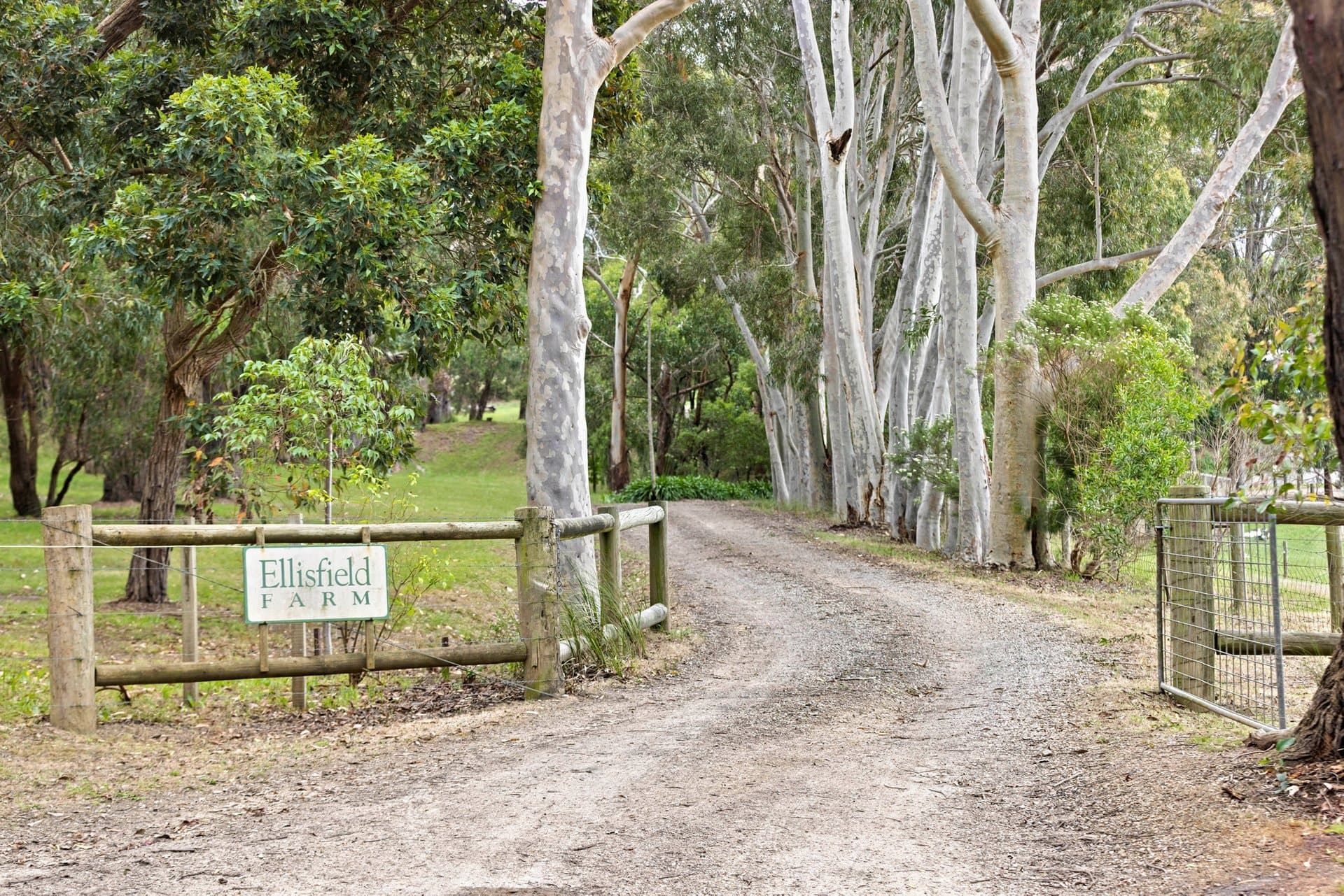 109 Mcilroys Road, Red Hill - Thumbnail 4