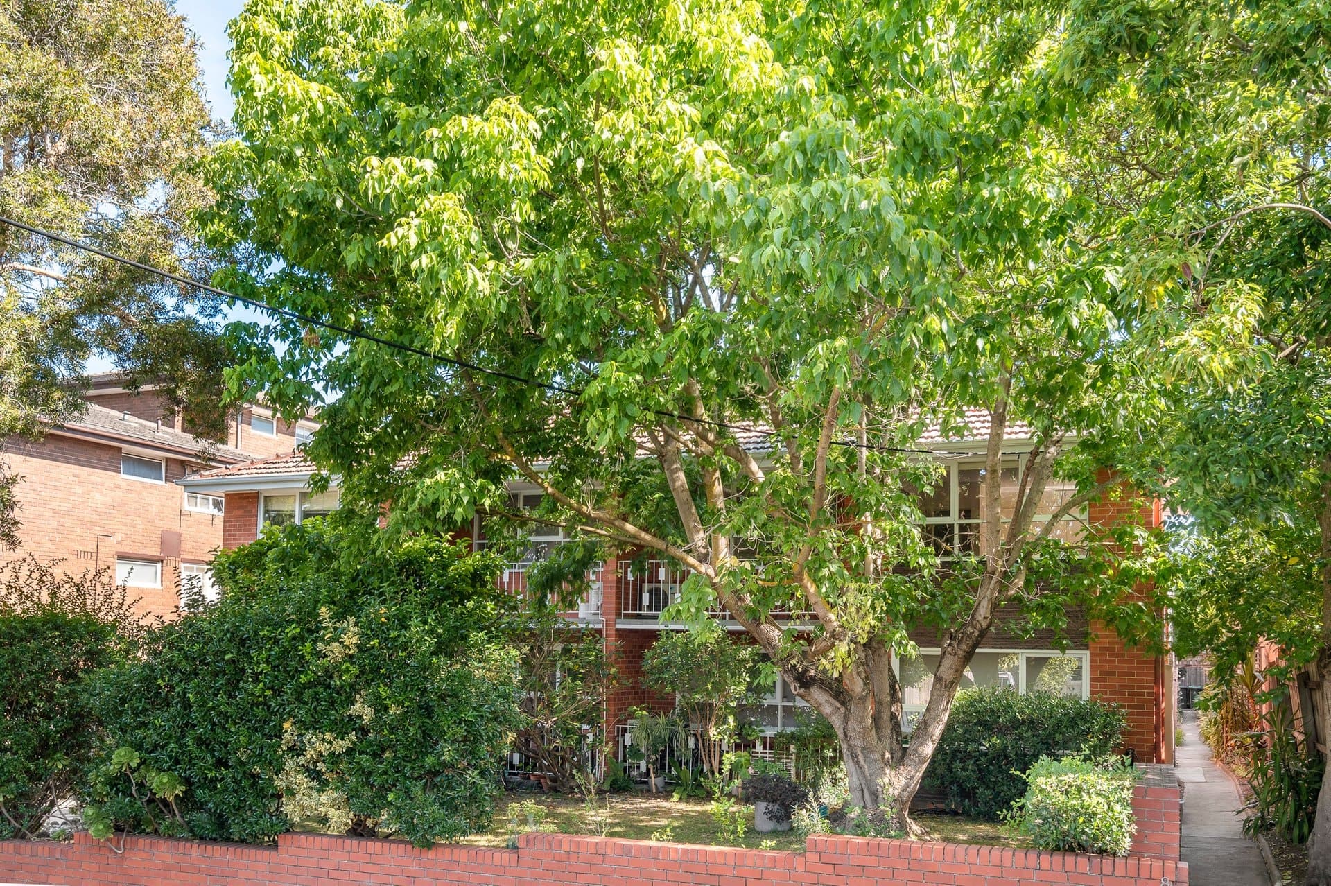 8/8 Brook Street, Hawthorn - Thumbnail 6