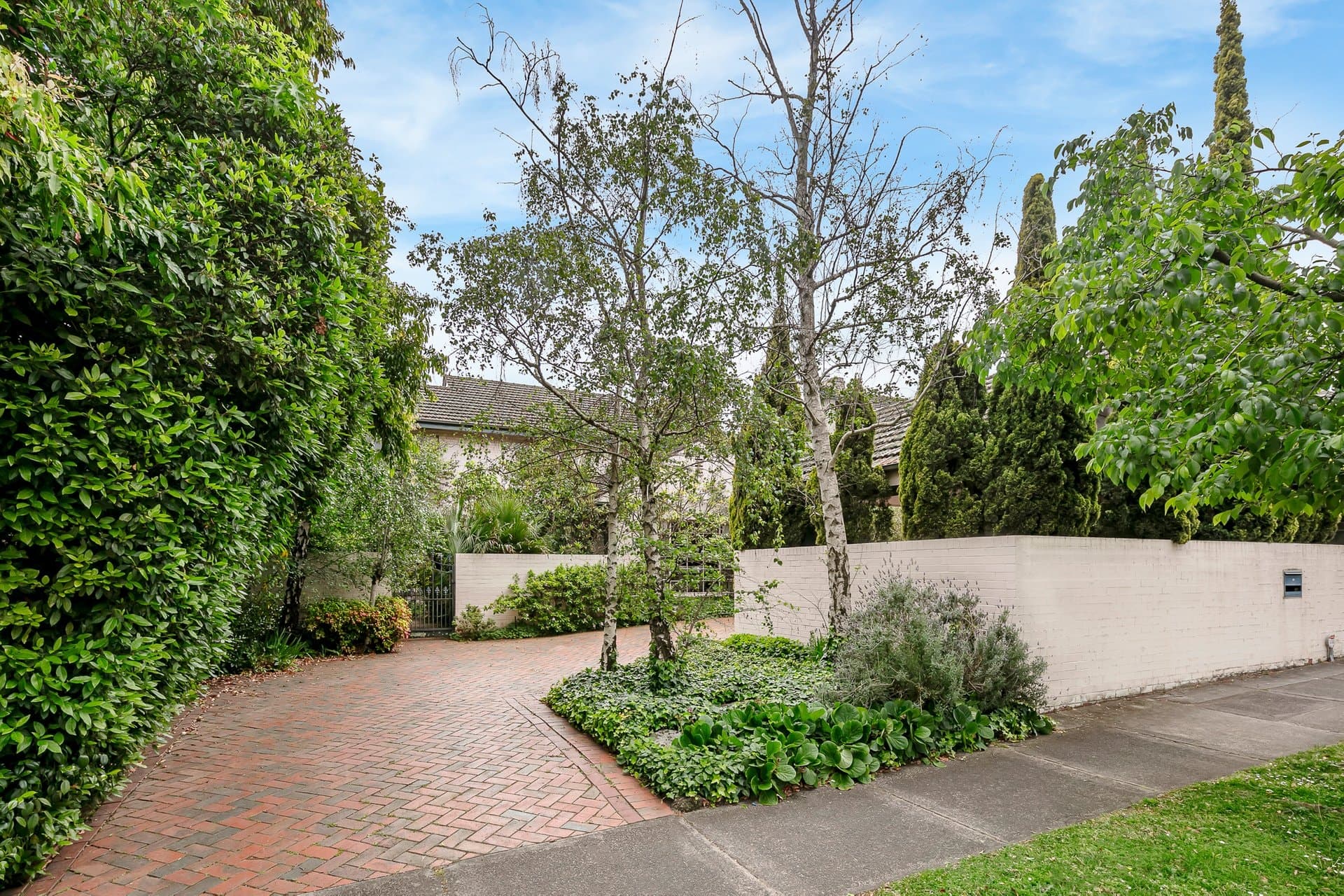 77 Mont Albert Road, Canterbury - Thumbnail 3