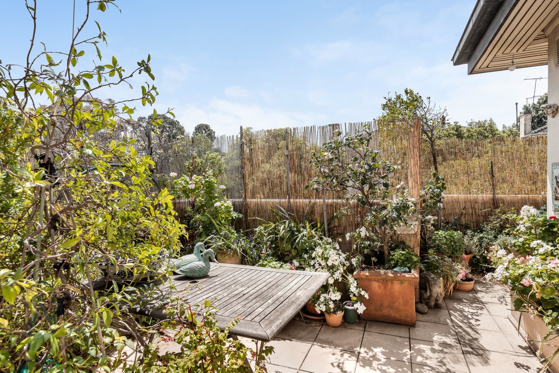 6/468 Glenferrie Road, Hawthorn - Thumbnail 3