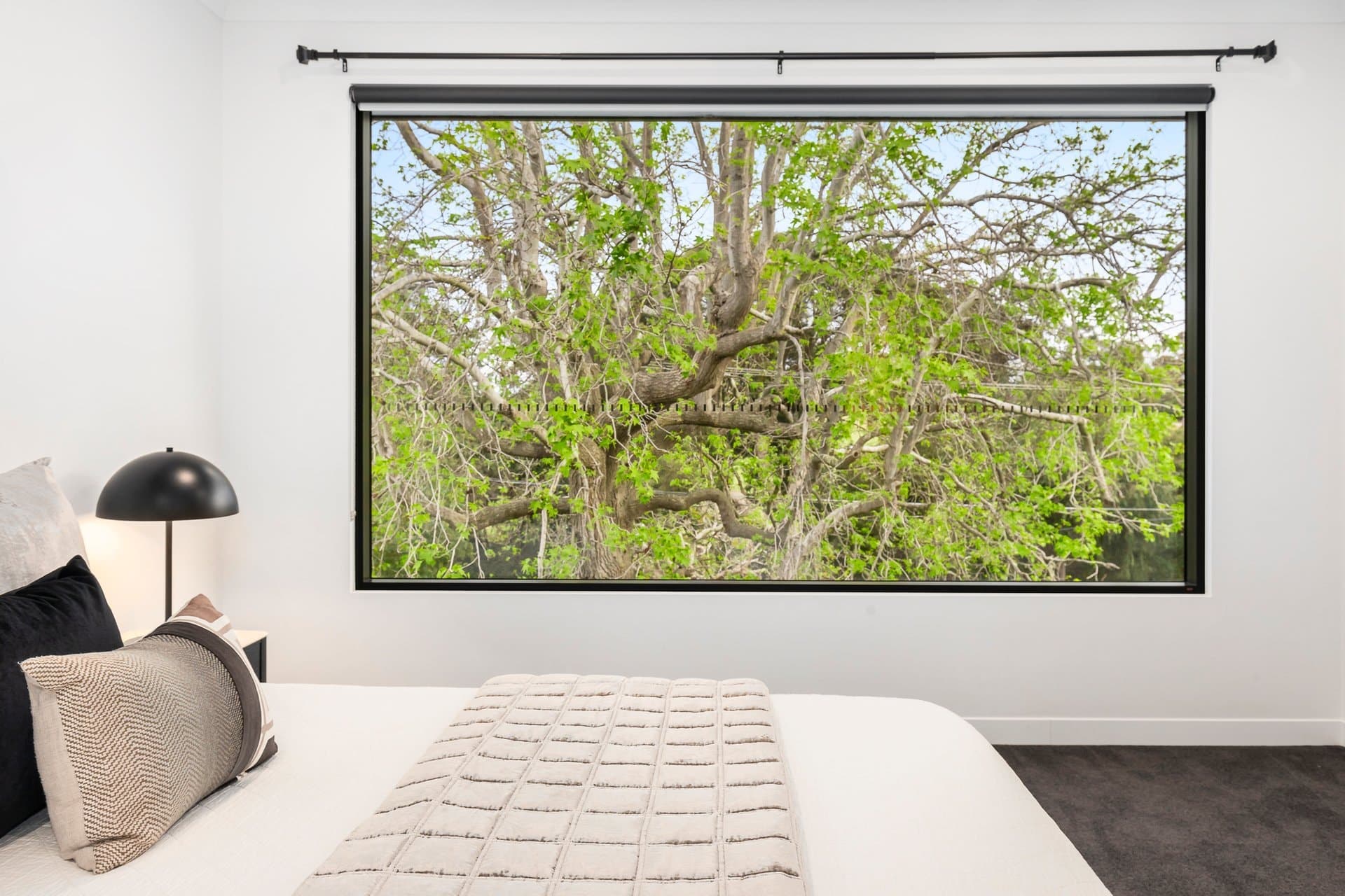 13B Woff Street, Beaumaris - Thumbnail 8
