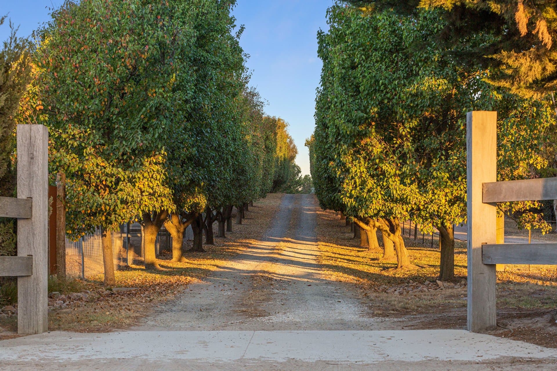 166 Roberts Road, Mornington - Thumbnail 3