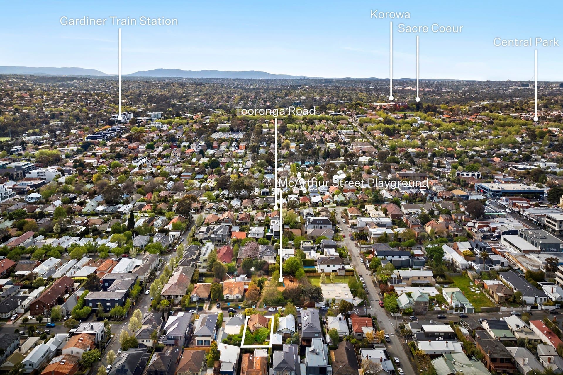 19 McArthur Street, Malvern - Thumbnail 5