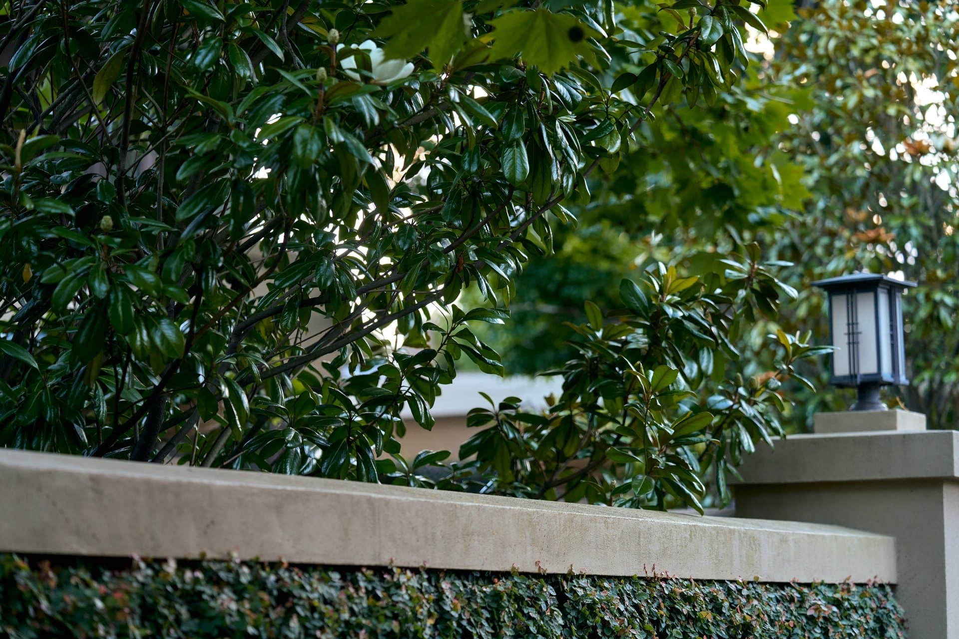 16 Haines Street, Hawthorn - Image 1
