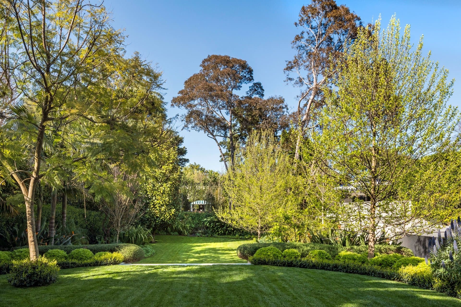 10 Struan Street, Toorak - Thumbnail 2