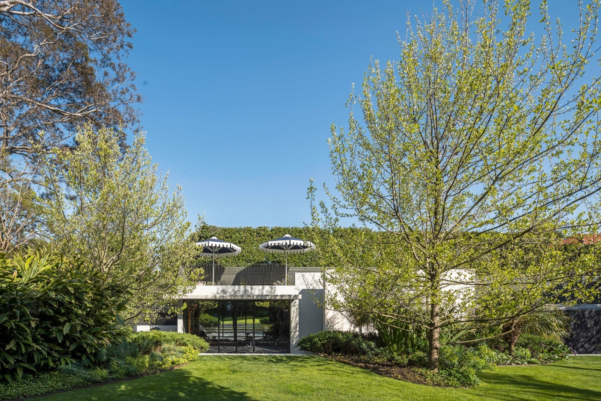 10 Struan Street, Toorak - Thumbnail 5