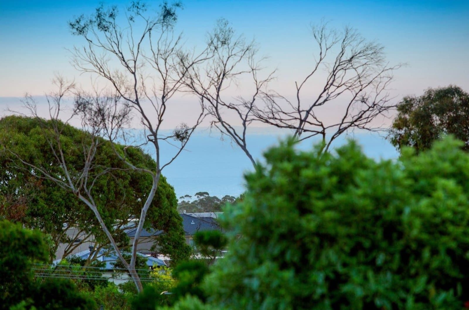 14 Autumn Crescent, Mount Eliza - Thumbnail 2