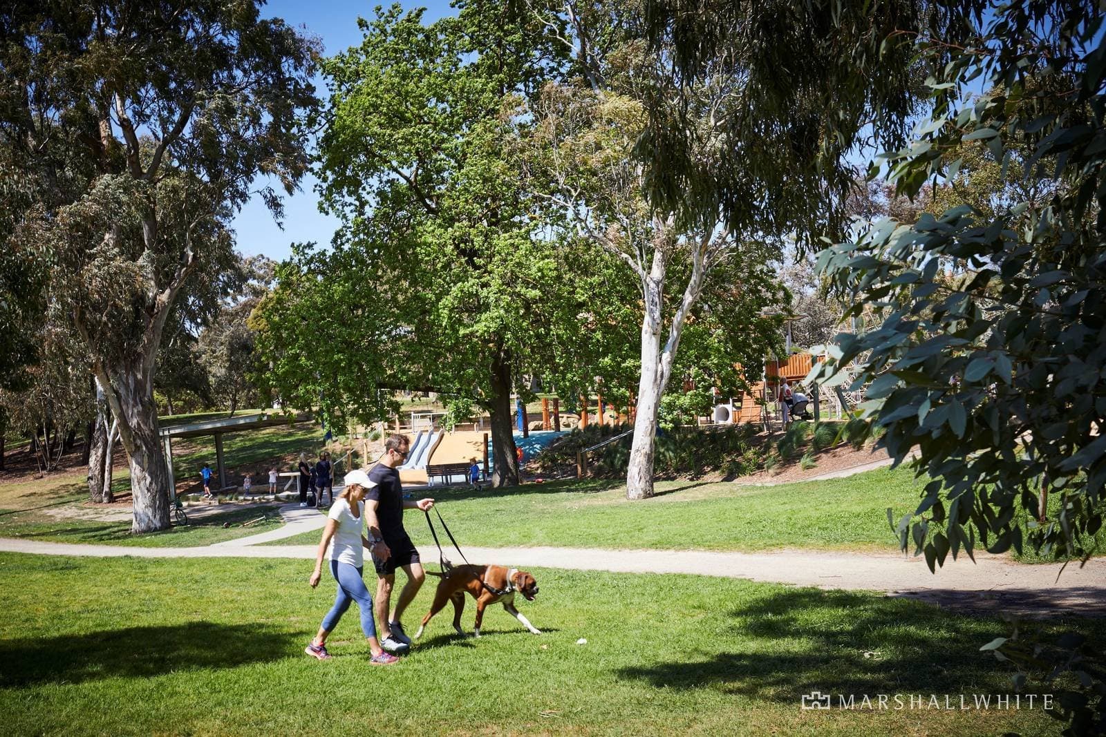 31 Liston Street, Glen Iris - Thumbnail 4