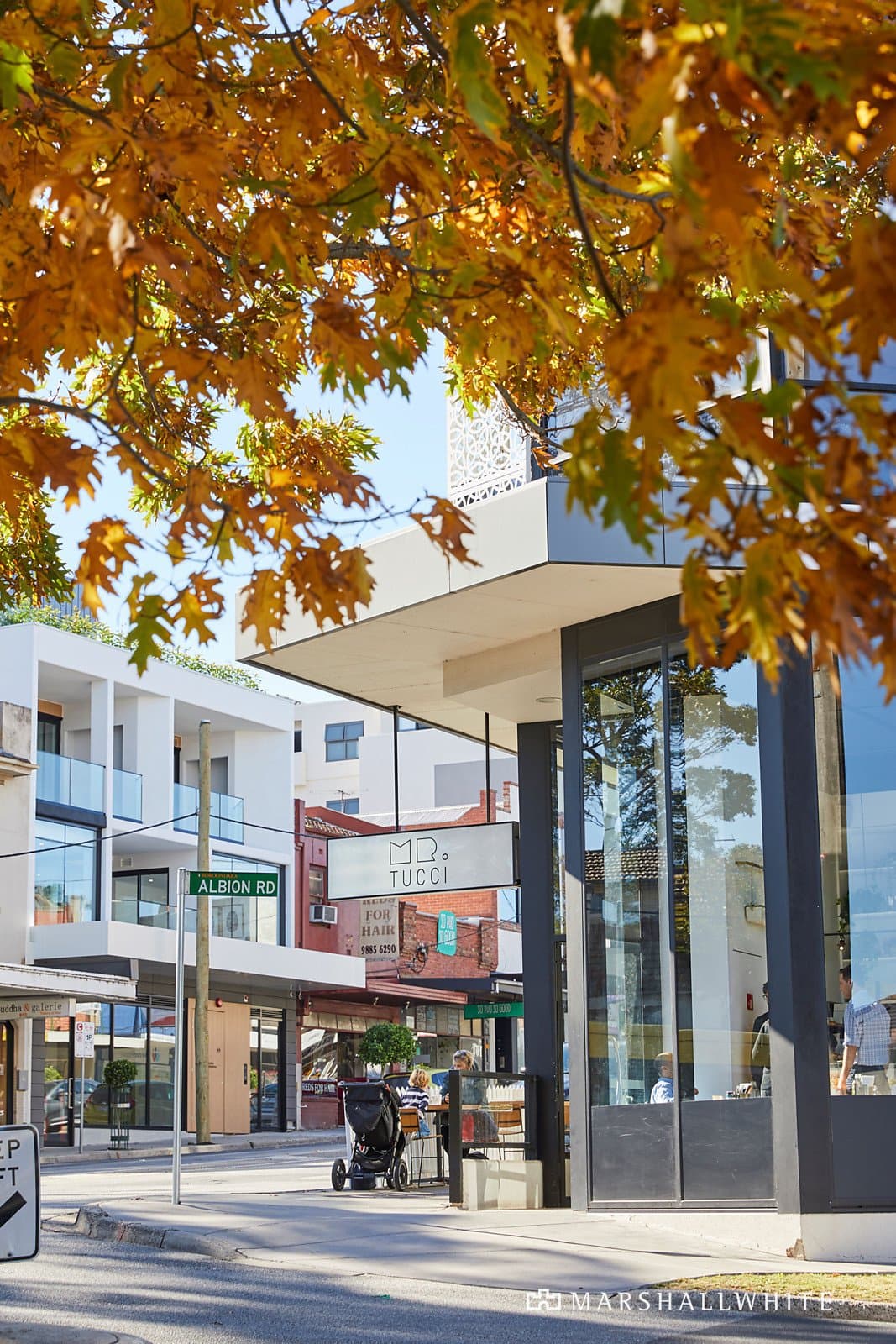 31 Liston Street, Glen Iris - Thumbnail 6