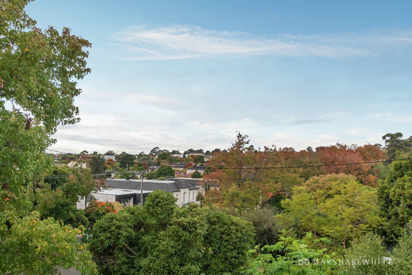 20 Corby Street, Balwyn North - Thumbnail 3