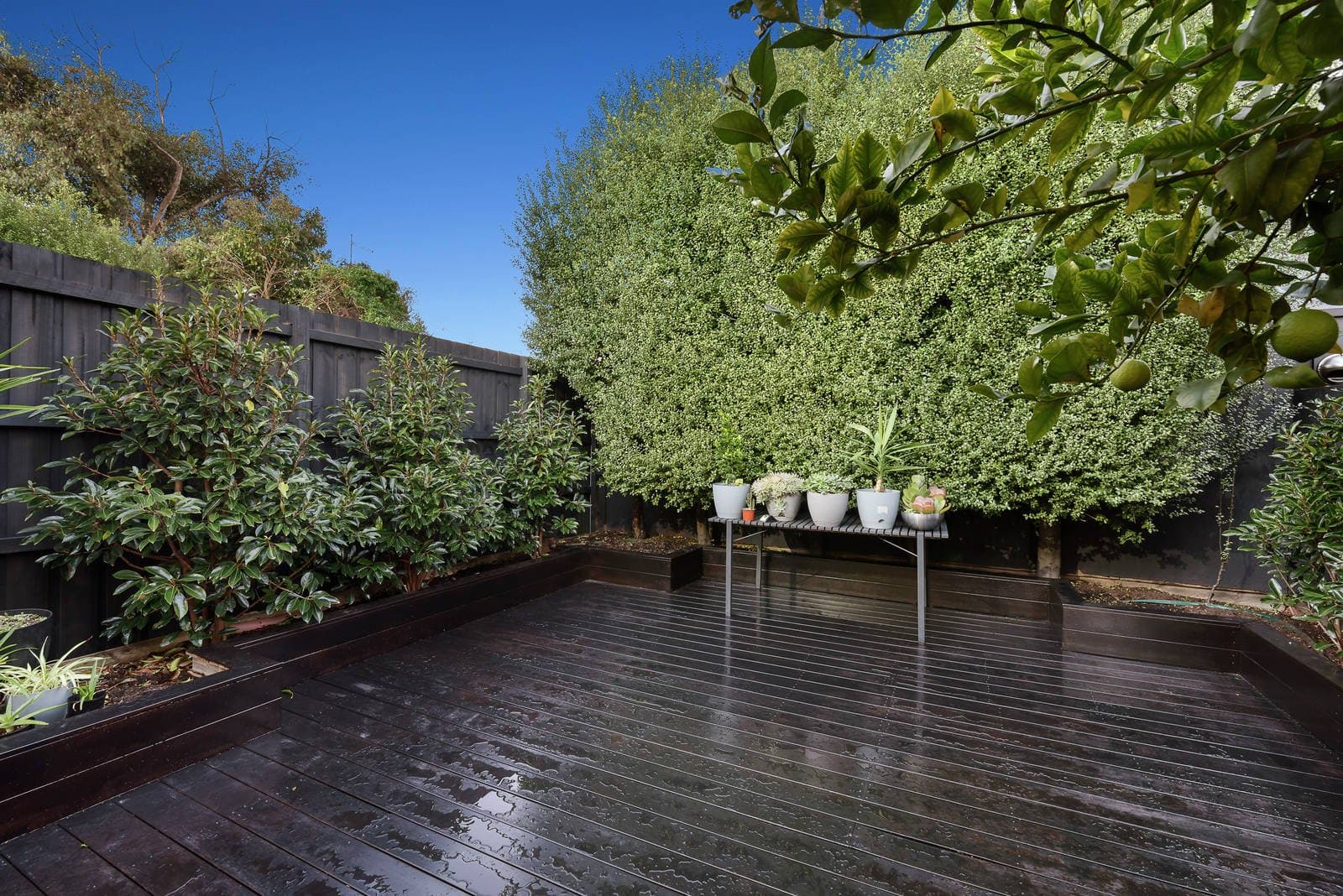 132 Edgevale Road, Kew - Thumbnail 3