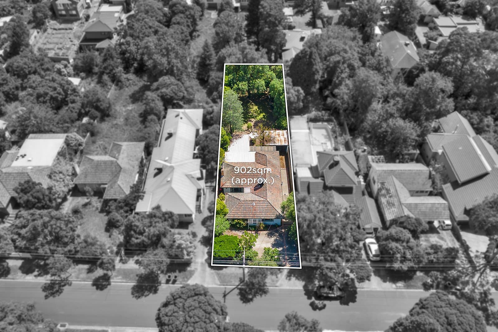 81 Kenmare Street, Mont Albert North - Thumbnail 2