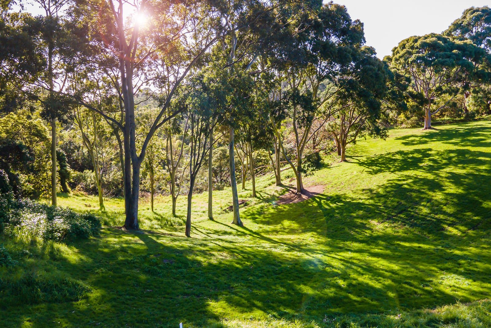 16 Narrung Road, Mount Eliza - Image 1