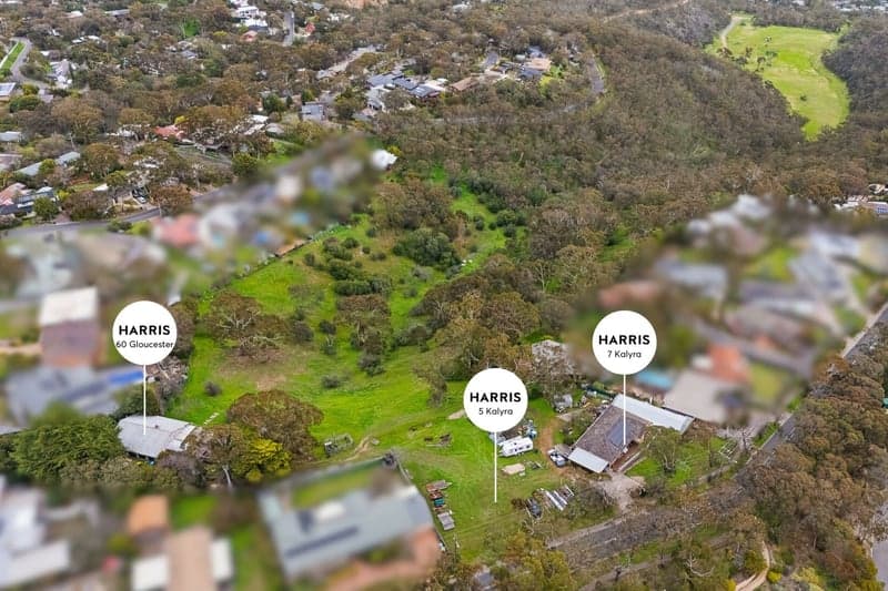7 Kalyra Road, Belair - Thumbnail 3