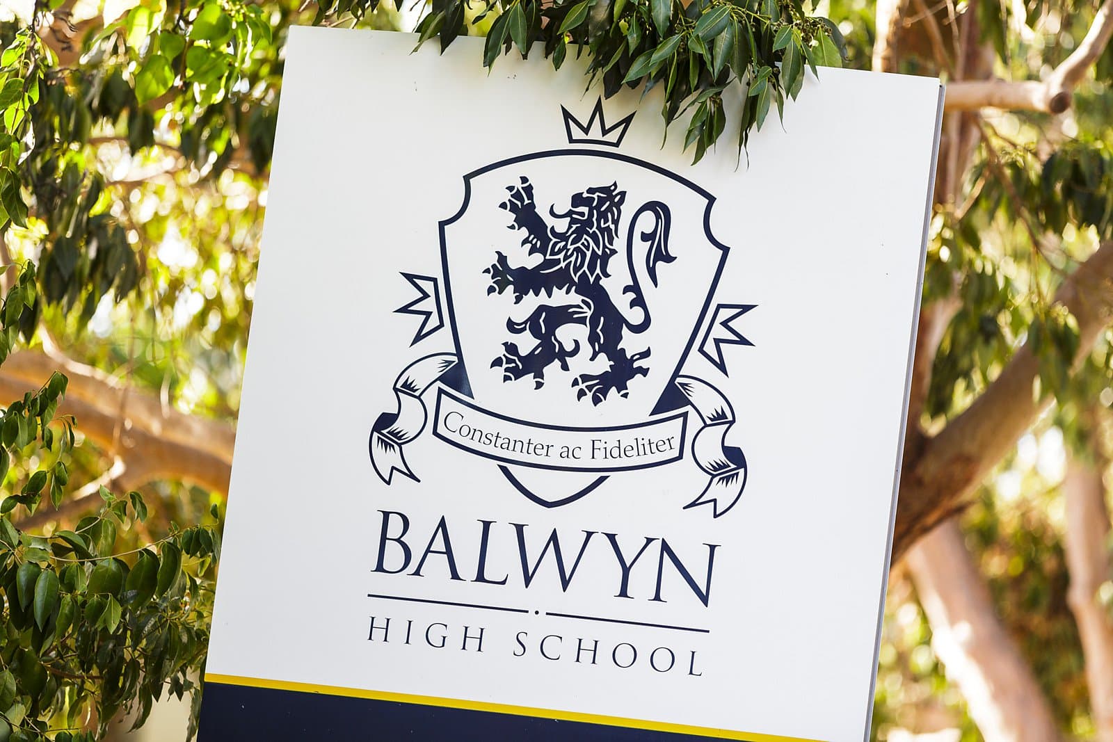 5 John Street, Balwyn - Thumbnail 6