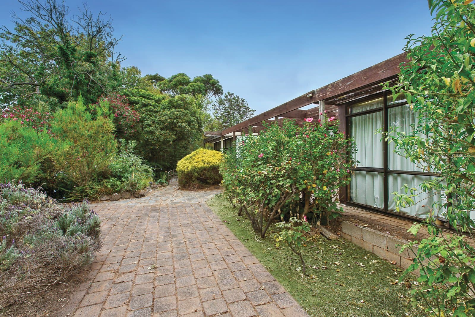 29 Dunoon Court, Brighton East - Thumbnail 2