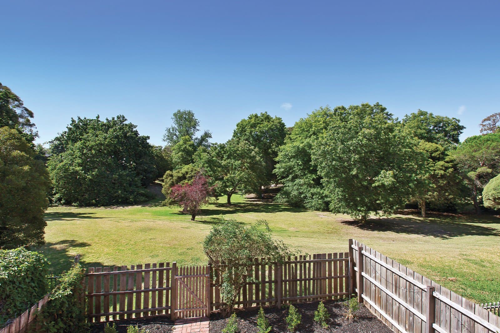 167 Mont Albert Road, Canterbury - Thumbnail 4