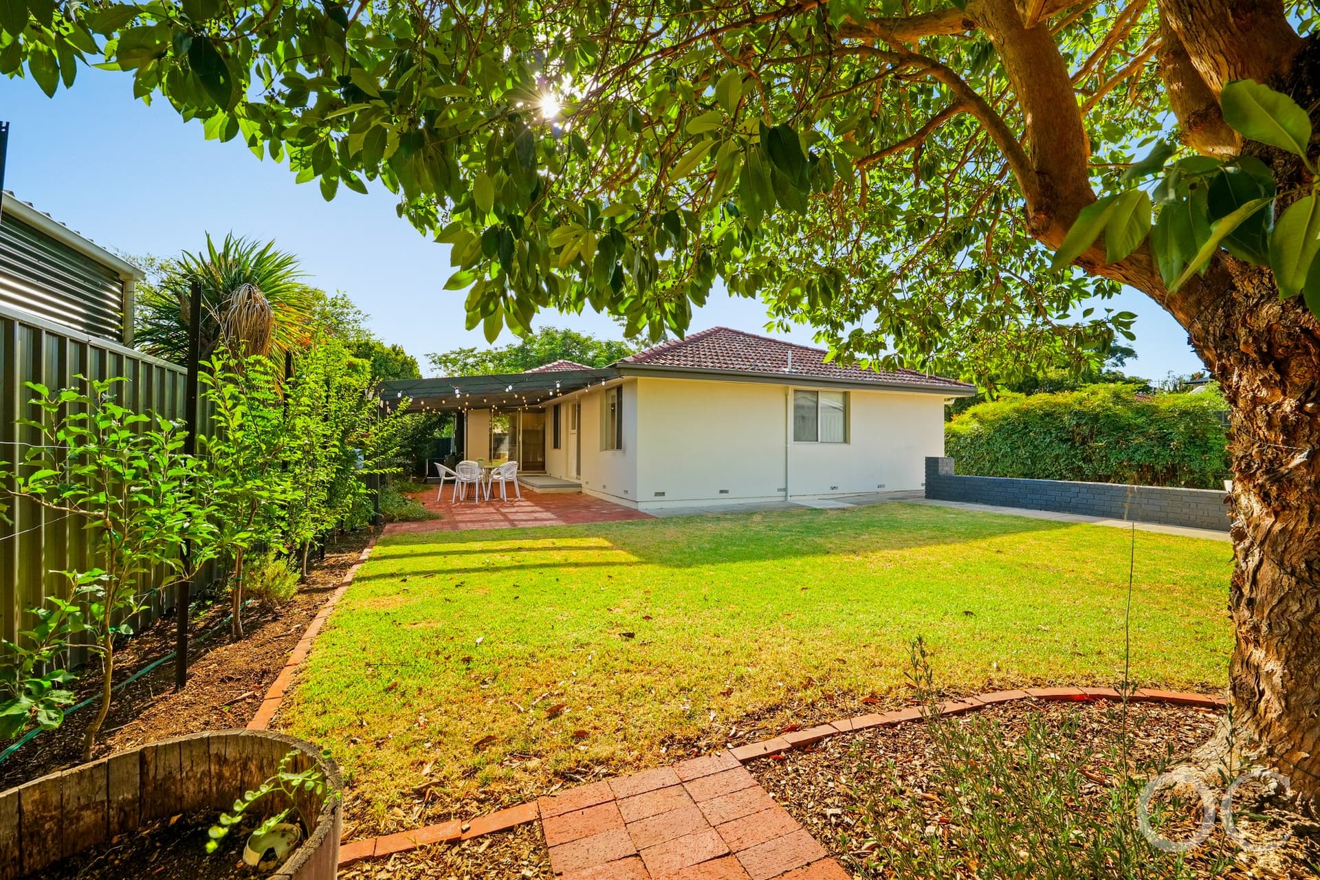 39 Aldersey Street, McLaren Vale - Thumbnail 3