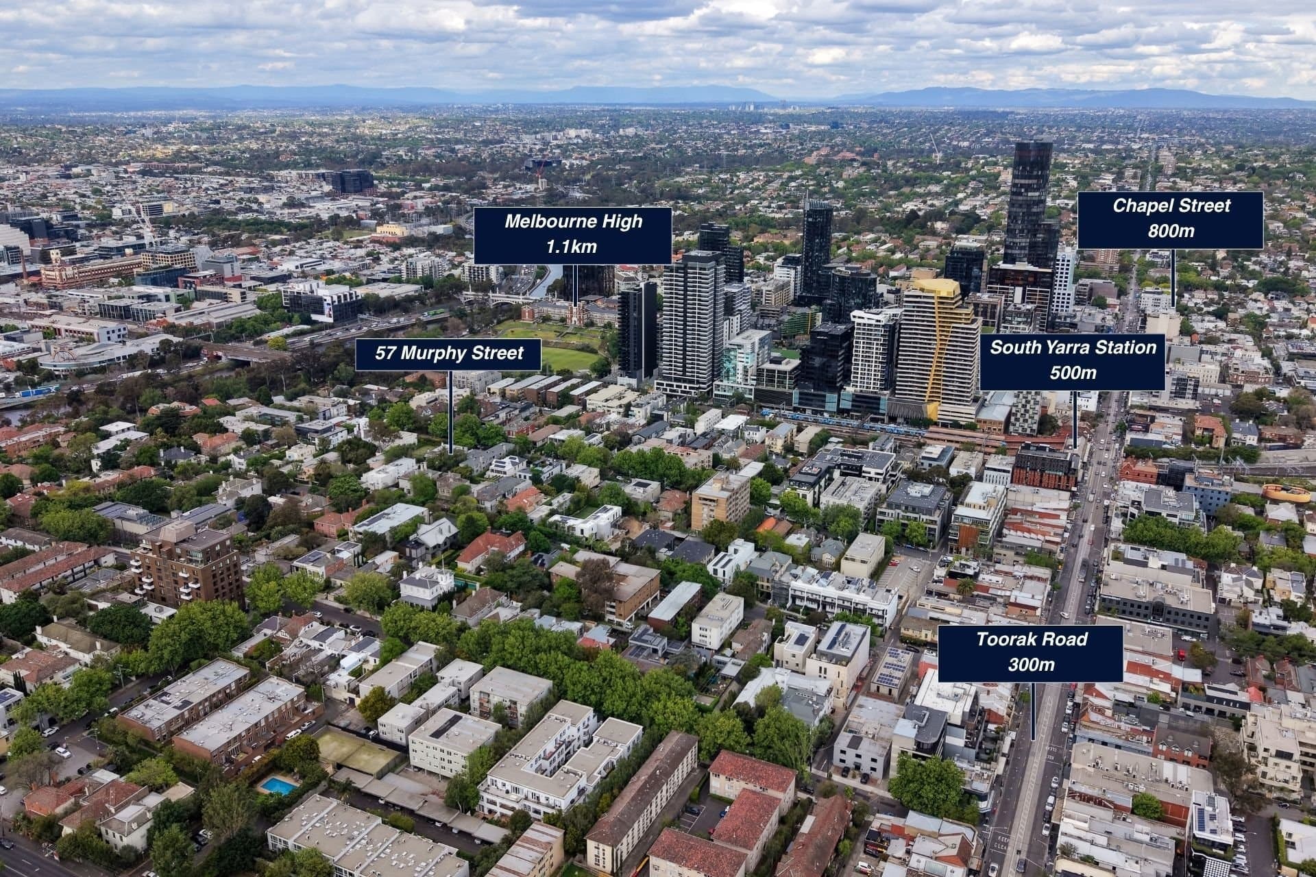 57 Murphy Street, South Yarra - Thumbnail 3
