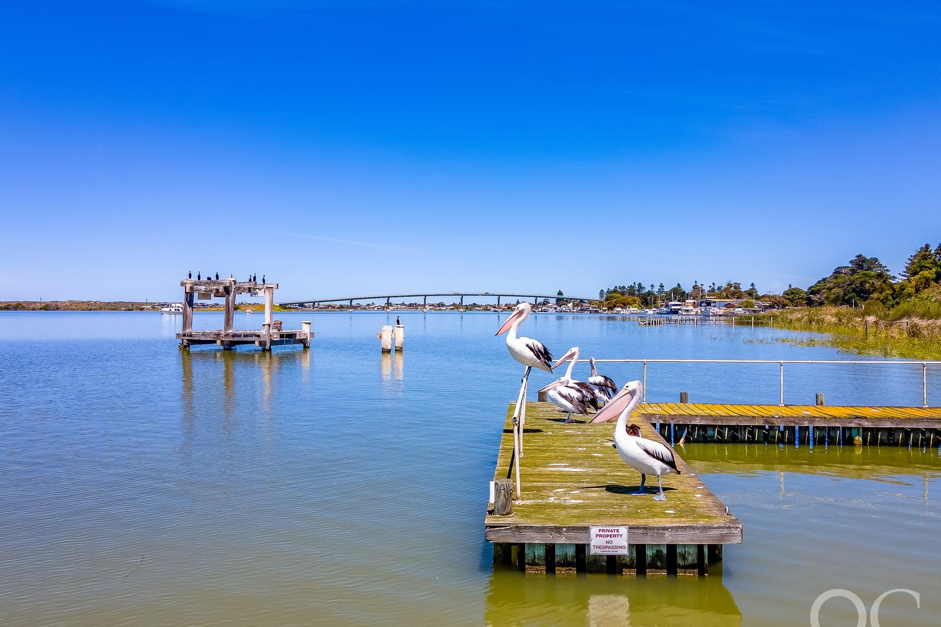 10 Laffin Road, Goolwa North - Thumbnail 4