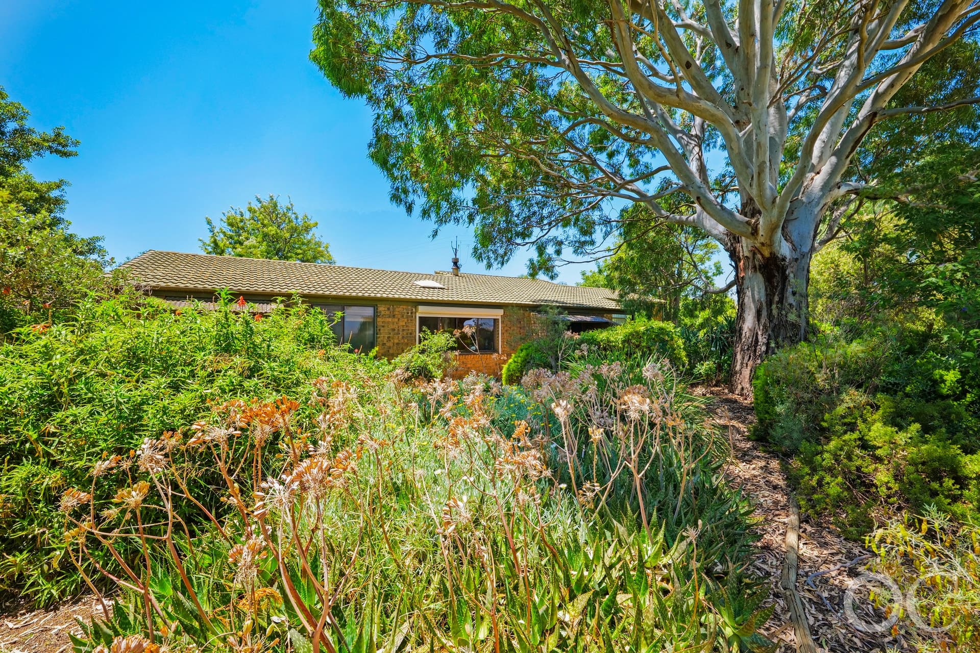 50 Seaview Road, McLaren Vale - Thumbnail 2