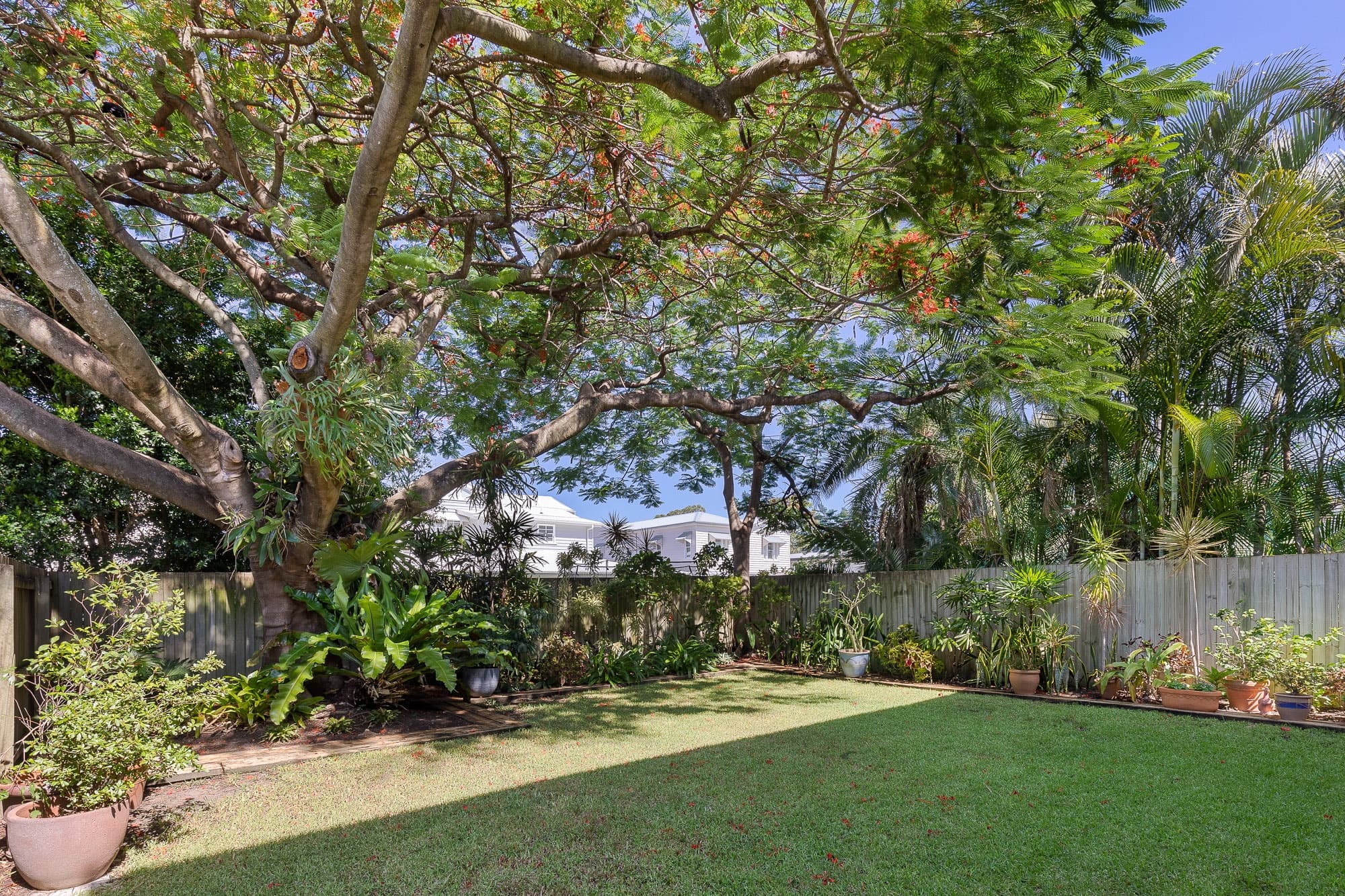 155 Kent Road, KALINGA QLD 4030, Kalinga - Image 1