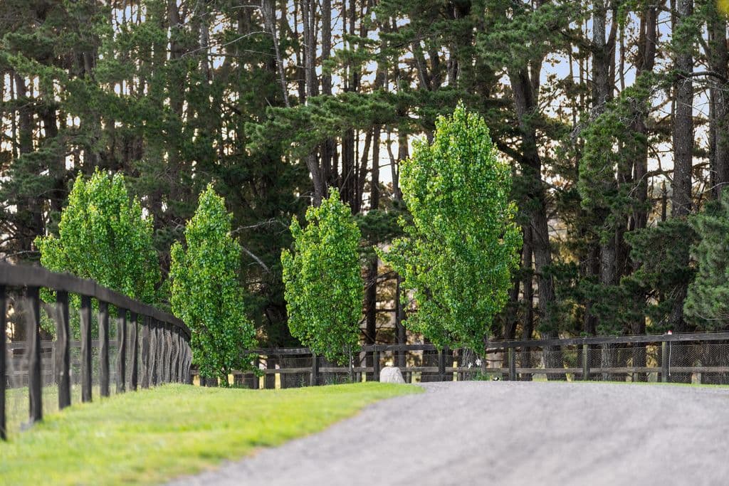 581 Greenhills Road, Berrima - Thumbnail 4