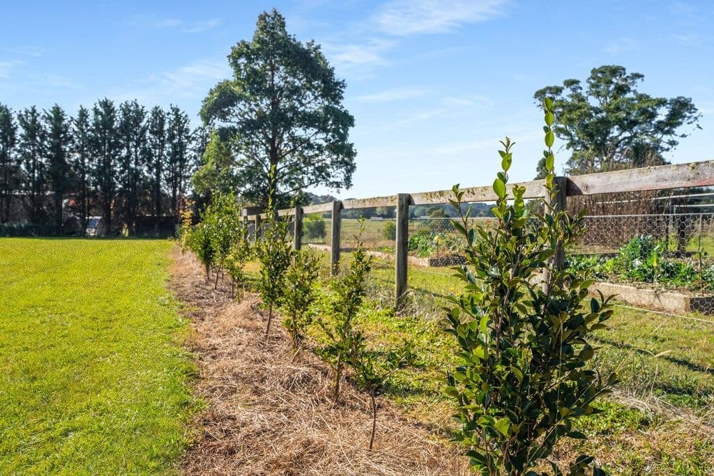 70  Greasons Road, Bundanoon - Thumbnail 6