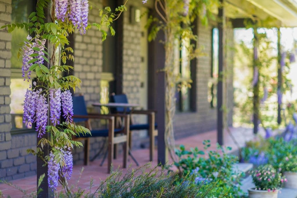 630 Wombeyan Caves Road, High Range - Thumbnail 4