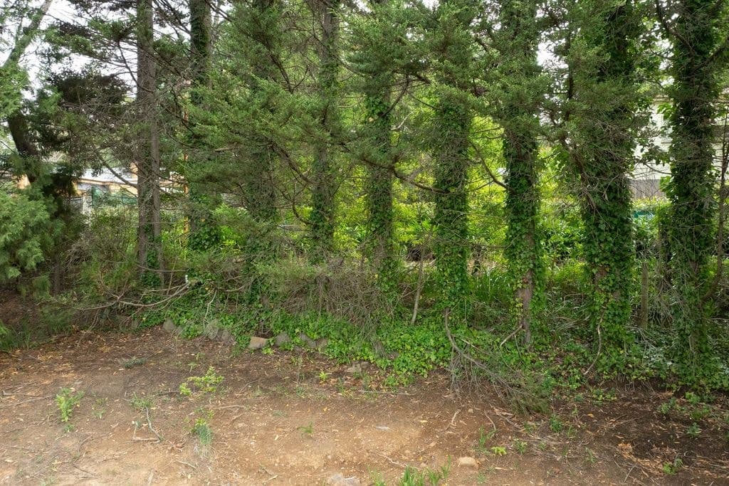26 Gladstone Road, Leura - Thumbnail 4