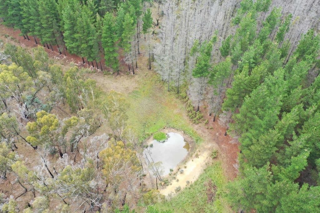 186 Old Station Creek Road, Taralga - Thumbnail 3