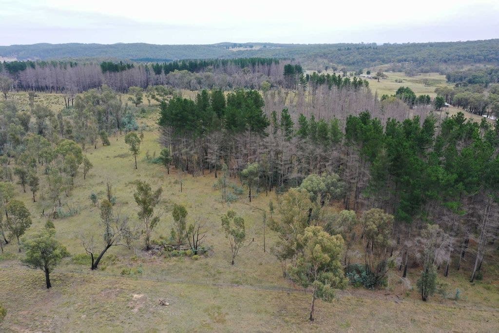 186 Old Station Creek Road, Taralga - Thumbnail 4