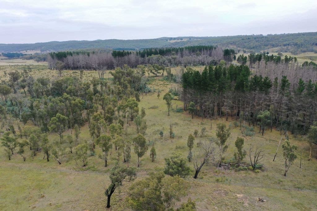186 Old Station Creek Road, Taralga - Thumbnail 7