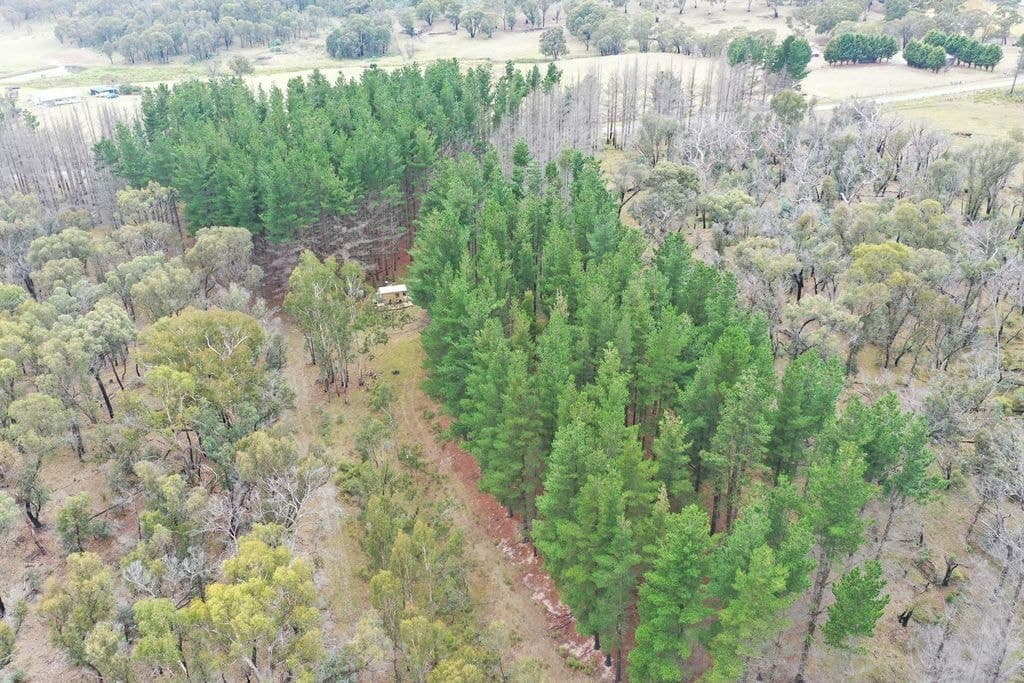 186 Old Station Creek Road, Taralga - Thumbnail 8