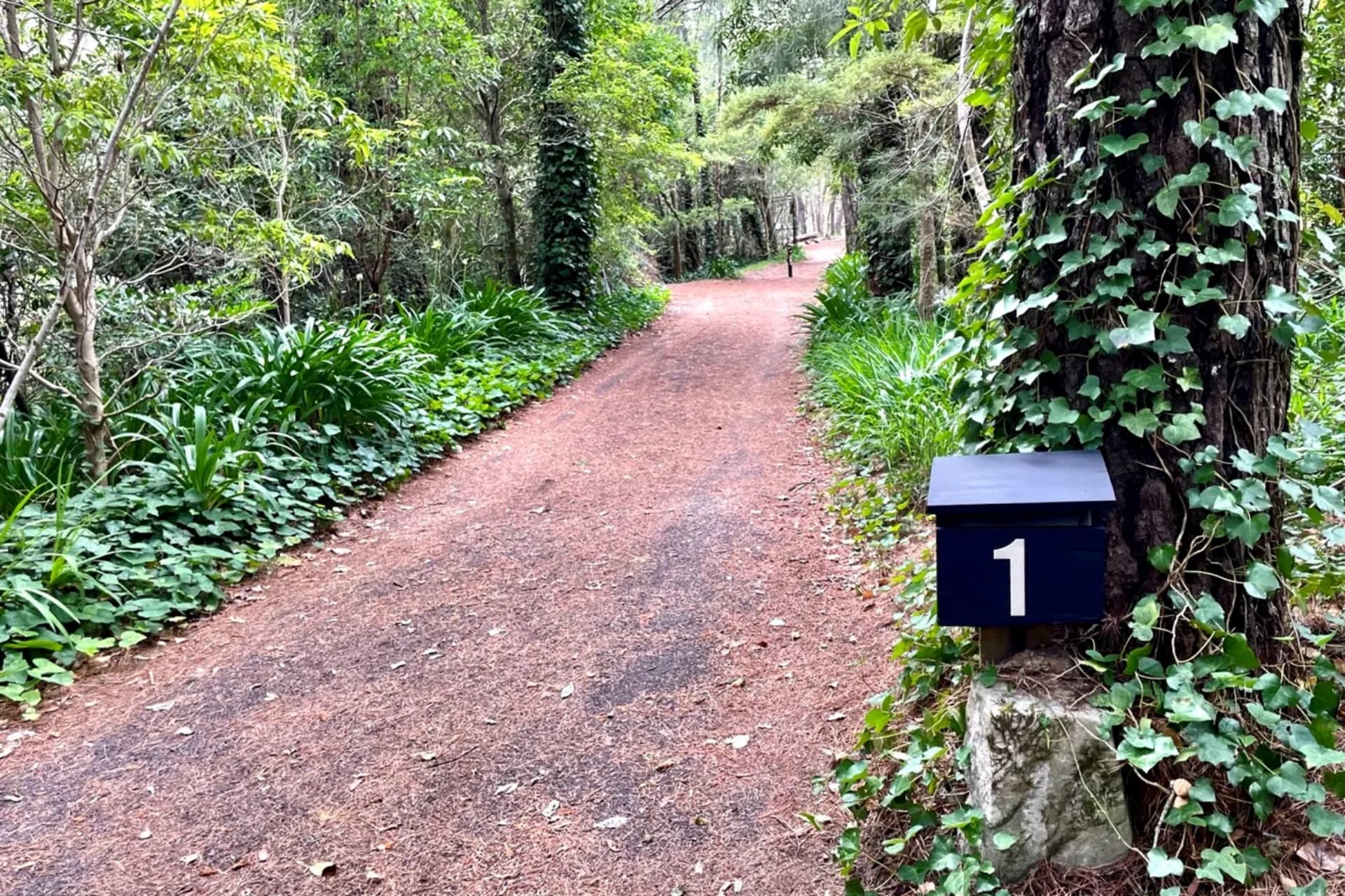 1 Fletcher Street, Wentworth Falls, NSW, Wentworth Falls - Image 1