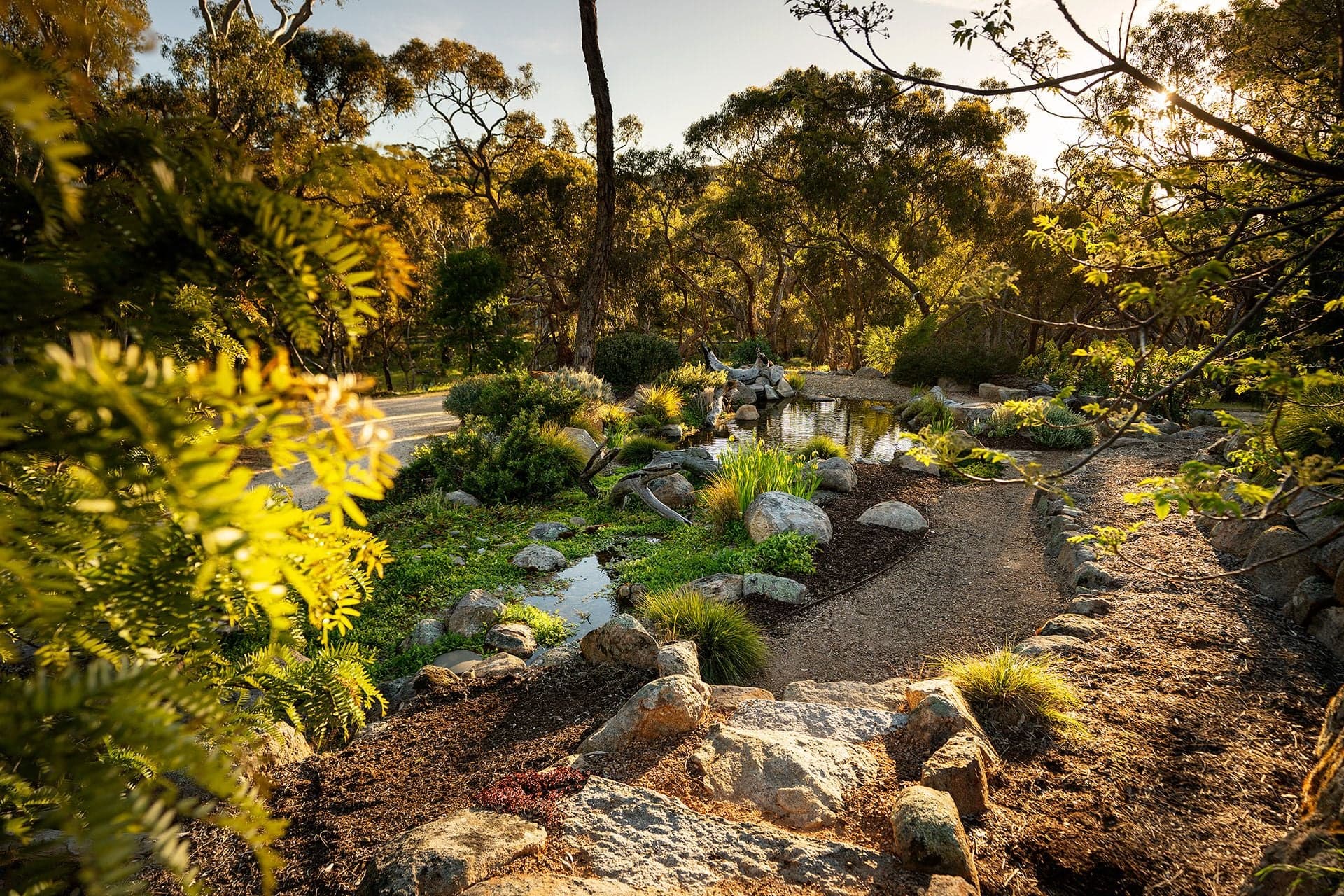 44 Bridgewater-Maldon Road, Maldon - Thumbnail 4