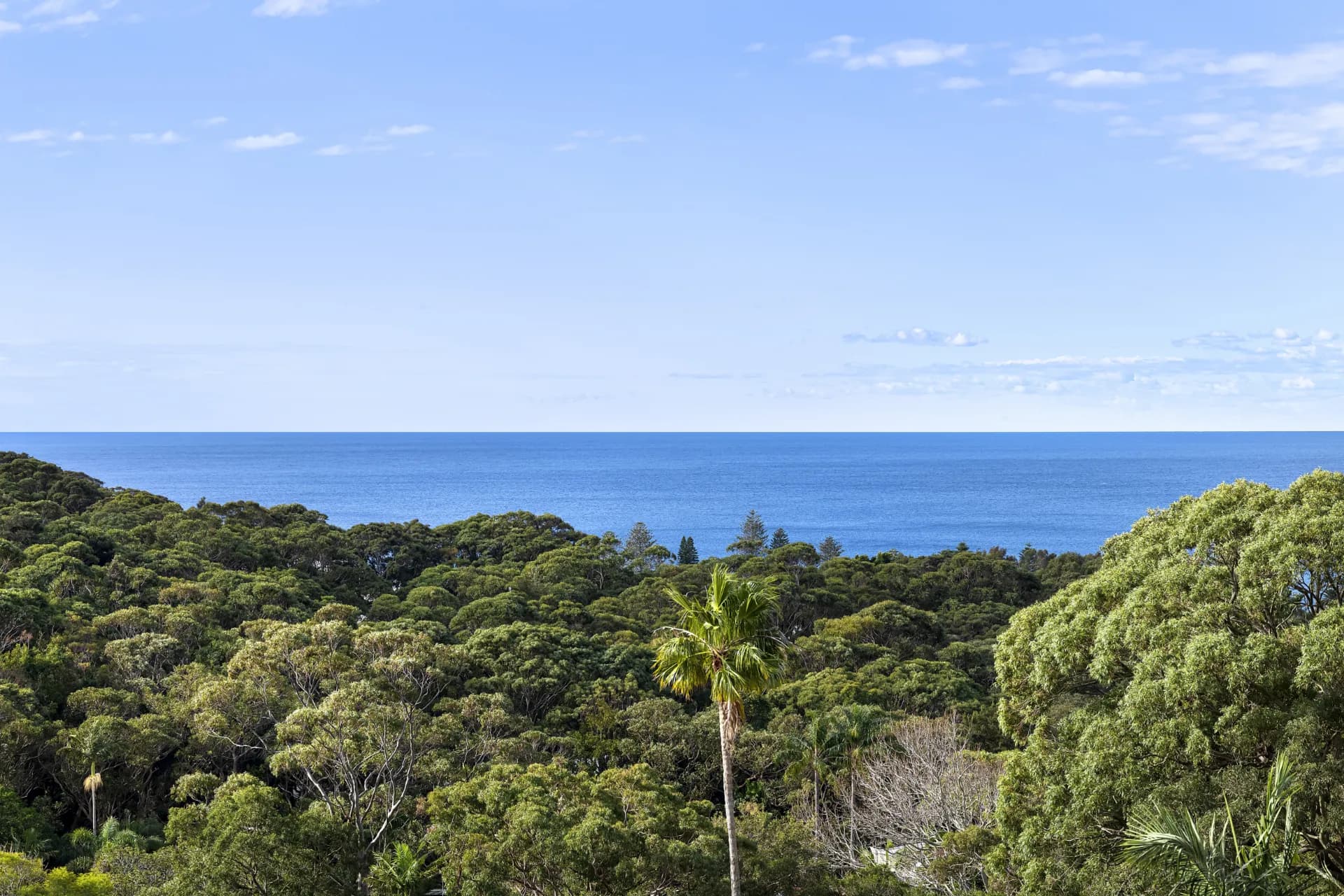 70 Suffolk Avenue, Collaroy, NSW, Collaroy - Image 1